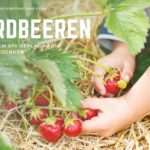 Erdbeeren